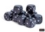 Speckled Ninja 16mm d6 Dice Block (12 dice) - CHX25718